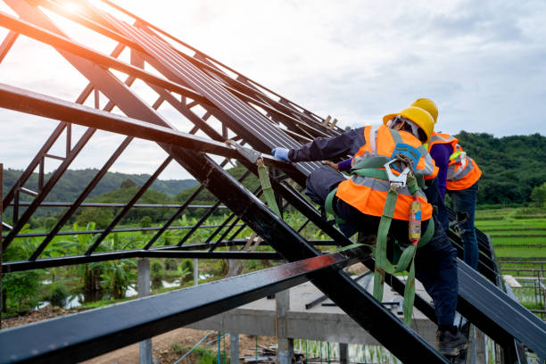 Best Storm Damage Roof Repair  in Colchester, IL