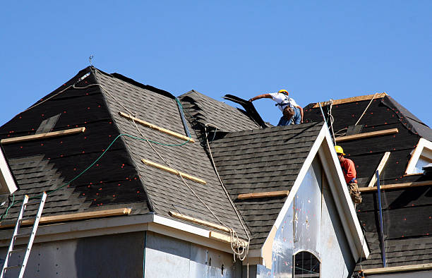 Best Roof Restoration Services  in Colchester, IL