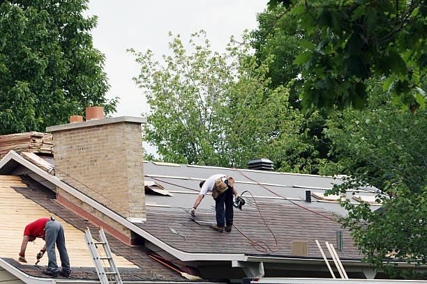 Best Roof Leak Repair  in Colchester, IL