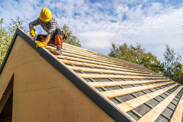 Best Commercial Roofing Services  in Colchester, IL