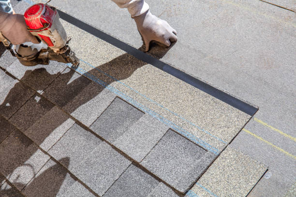 Best Roofing Contractor Near Me  in Colchester, IL