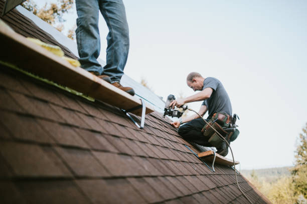 Best Roof Gutter Cleaning  in Colchester, IL
