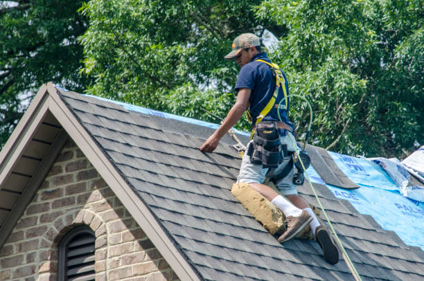 Best Gutter Installation and Roofing  in Colchester, IL